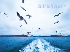 -海驴岛(荣成市)