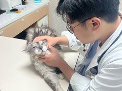 -谐和贝康宠物医院24小时·宠保定点(急重症转诊中心)