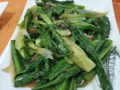 油麦菜-裕华(南华东路店)