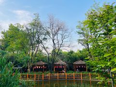 -太阳宫公园