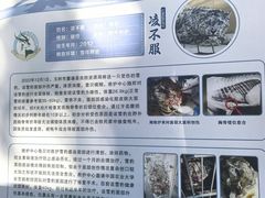 -青藏高原野生动物园
