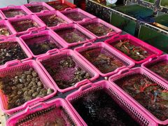 -众味海鲜大排档·活海鲜·潮汕味(南澳店)