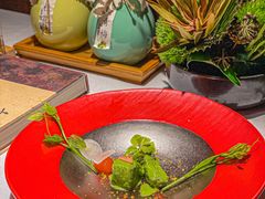 -叶叶菩提(太原别墅店)