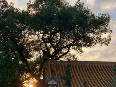 -南岳衡山风景名胜区-南岳大庙