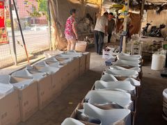 -马陆小张葡萄园农家乐