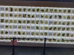 -广东中医药博物馆