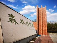 -绥化市森林植物园
