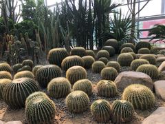 -祥源·阜阳生态乐园