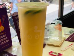 柠檬椰果养乐多-CoCo都可(360丰产店)