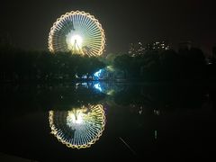 -青城公园