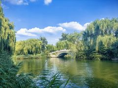 -济南大明湖景区