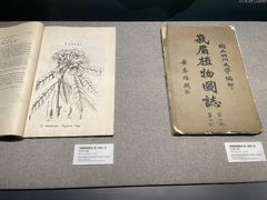 -四川大学博物馆