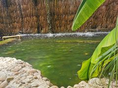 -北京呀路古热带植物园