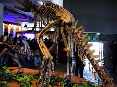 -自贡恐龙博物馆