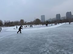 -群力丁香公园