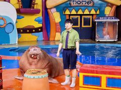 -海合安武汉极地海洋公园
