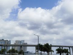 -中澳友谊花园
