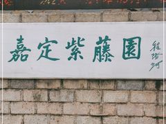 -嘉定紫藤园
