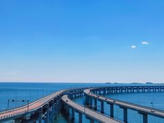 -星海湾跨海大桥