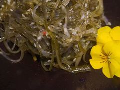 -将太无二·北美传奇寿司(荟聚购物中心西红门店)