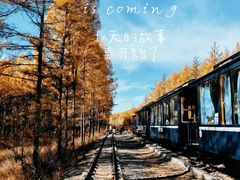 -莫尔道嘎国家森林公园