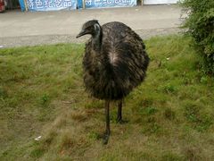 -西安秦岭野生动物园