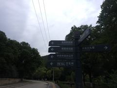 -延安杨家岭革命旧址