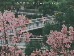 -狐尾山公园