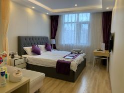 -海豚湾高端月子会所(黄浦店)