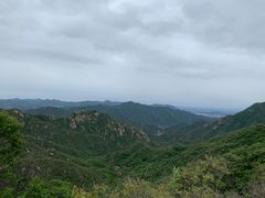 -大岭沟猕猴桃谷风景区