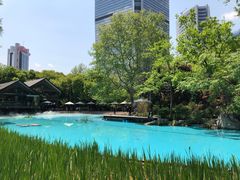 -静安公园(静安寺街道)