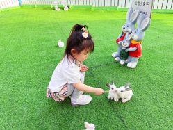 -萌宠亲子动物乐园(槐房万达店)