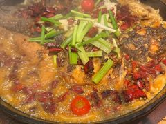 -老板恋上鱼(印象城店)