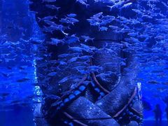 -波塞冬旅游度假区