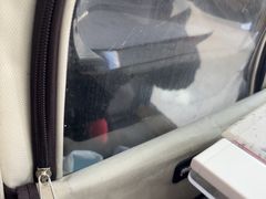 -半岛宠物医院24小时·内窥镜·牙科·碎石中心(府城大道店)