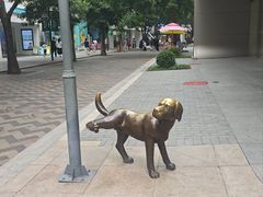 -中粮·祥云小镇