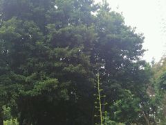 -人民公园(罗湖区)