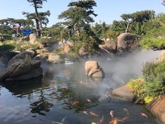 -罗红摄影艺术馆