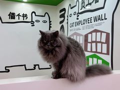 -天河领展广场