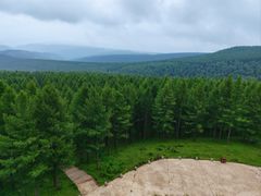 -塞罕坝国家级自然保护区