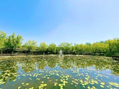 -风渡嘉荷·美式西餐·牛排(西三旗金隅店)