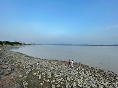 -深圳湾公园(南山区)