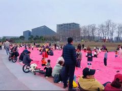 -春花秋色城市公园