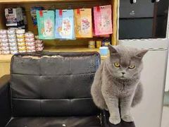 -中农大我爱我爱动物医院·核磁CT·猫病·24小时夜诊中心(石佛营店)
