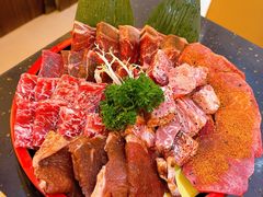-熊出没日本烧肉放题