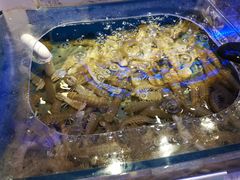 -澜悦港海鲜体验主题餐厅