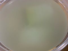 萝卜排骨汤-宏记广东客家菜(丰汇店)