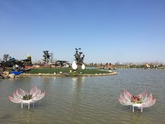 -荷兰花海