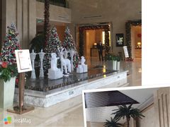 -常州环球恐龙城维景国际大酒店