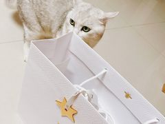-Dior迪奥(国贸商城店)